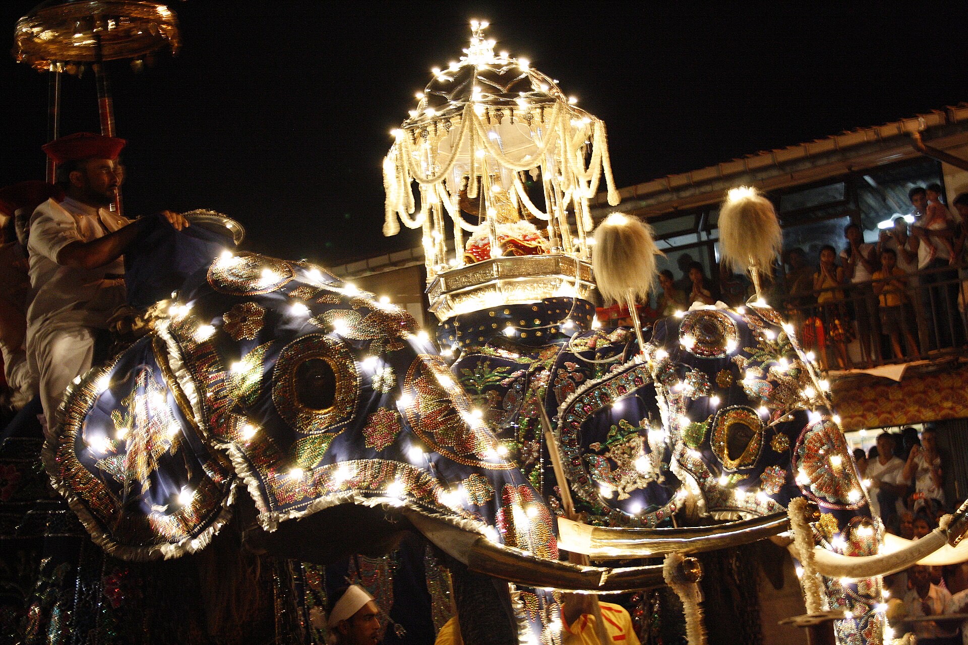 Elephants dressed in strings of lights walking in the Kandy Esala Perahera at night